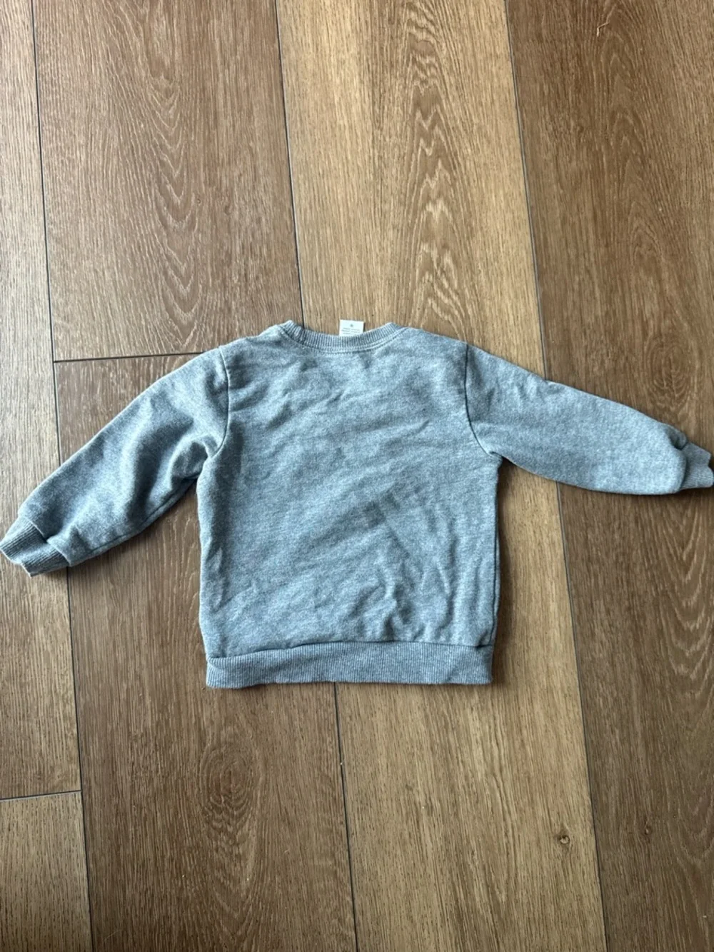 Carter's Gray Sweatshirt with Green Alligator Graphic